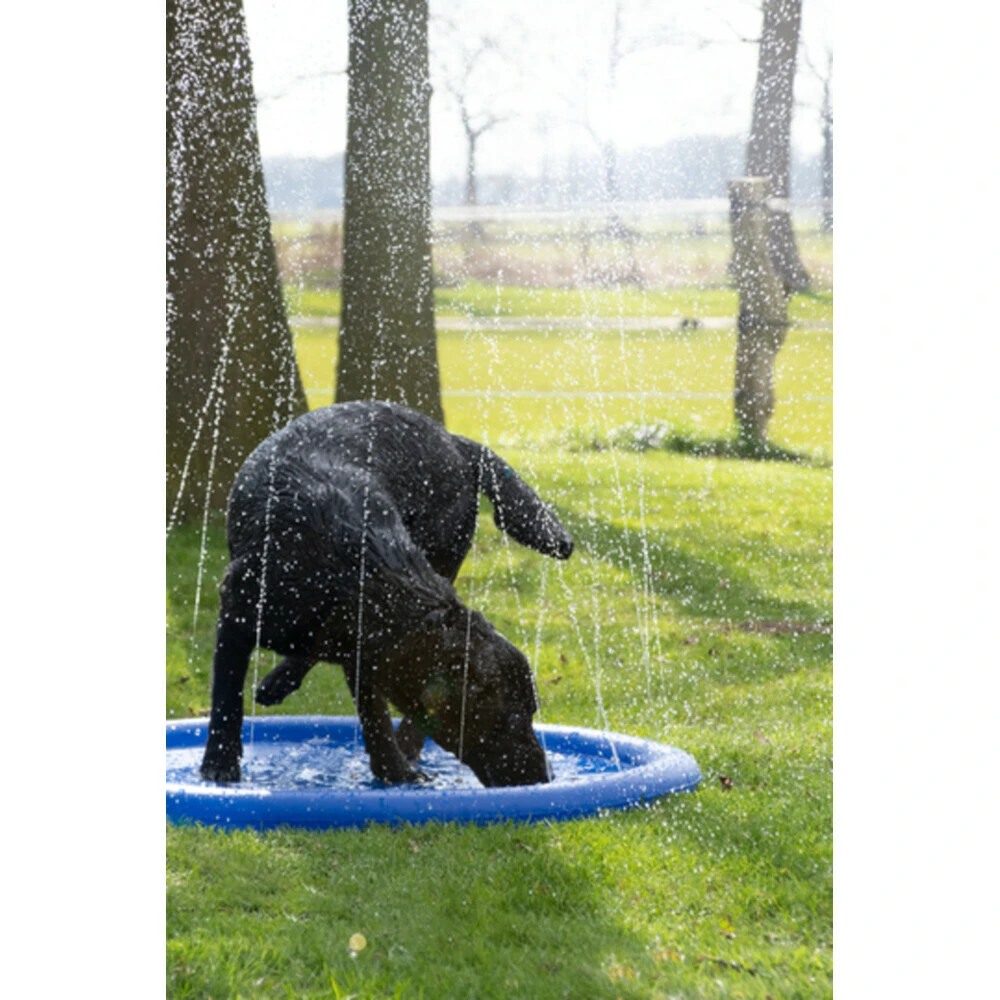 Coolpets Splash Pool Sproeier 3 Coolpets Splash Pool Sproeier - Afbeelding 3
