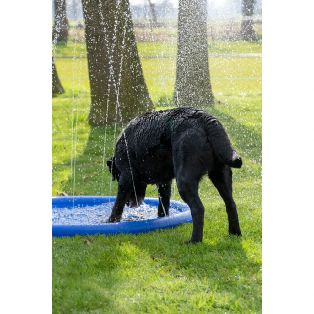 Coolpets Splash Pool Sproeier 4 Coolpets Splash Pool Sproeier - Afbeelding 4