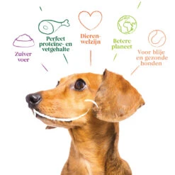 4x Yarrah Bio Hondenvoer Multipack Paté Graanvrij Kip - Kalkoen 7 4x Yarrah Bio Hondenvoer Multipack Paté Graanvrij Kip - Kalkoen -Lekker Woef 1003007 4