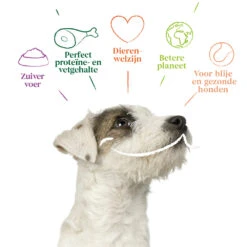 4x Yarrah Bio Hondenvoer Multipack Paté Graanvrij Rund - Kip 7 4x Yarrah Bio Hondenvoer Multipack Paté Graanvrij Rund - Kip -Lekker Woef 1003009 4