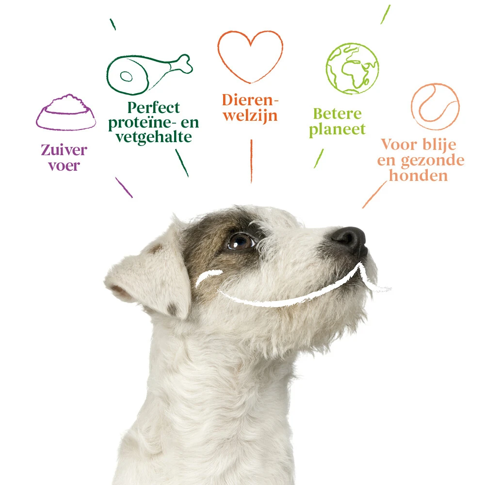 4x Yarrah Bio Hondenvoer Multipack Paté Graanvrij Rund - Kip 4 4x Yarrah Bio Hondenvoer Multipack Paté Graanvrij Rund - Kip - Afbeelding 4