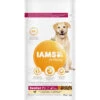 Iams Dog Senior Large Kip