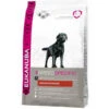 Eukanuba Dog Adult Labrador Retriever Kip