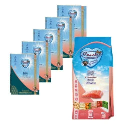 Renske Hondenvoer Zalm Pakket