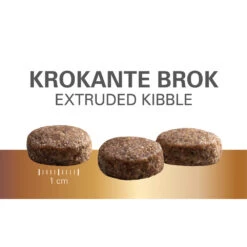Prins Protection Croque Senior Fit Hondenvoer -Lekker Woef 1016874 4