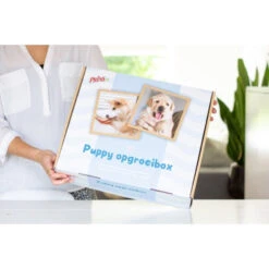 Prins Opgroeibox Protection Croque Junior -Lekker Woef 1016887 3