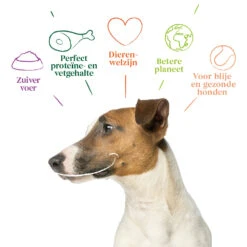 Yarrah Bio Hondenvoer Adult Small Breed Kip -Lekker Woef 1020195 4