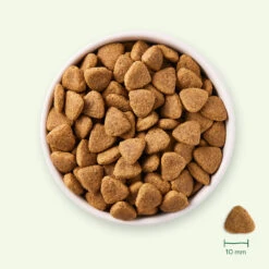 Yarrah Bio Hondenvoer Vegetarisch Tarwe Vrij -Lekker Woef 1020510 3