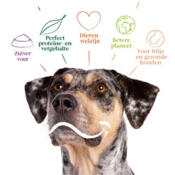 Yarrah Bio Hondenvoer Vegetarisch Tarwe Vrij -Lekker Woef 1020510 4