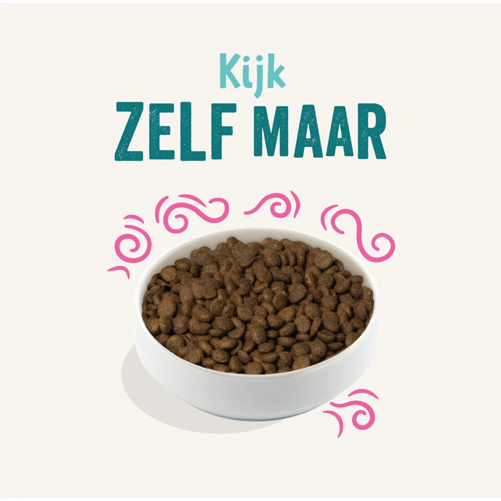 Edgard & Cooper Plantaardig Hondenvoer Rode Biet - Pompoen 3 Edgard & Cooper Plantaardig Hondenvoer Rode Biet - Pompoen - Afbeelding 3