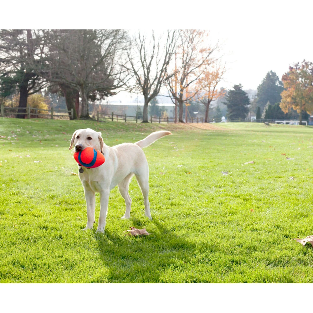 Chuckit! Chuckit Fumble Fetch Small 2 Chuckit! Chuckit Fumble Fetch Small - Afbeelding 2