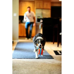 Chuckit! Chuckit Indoor Roller -Lekker Woef 1033094 3