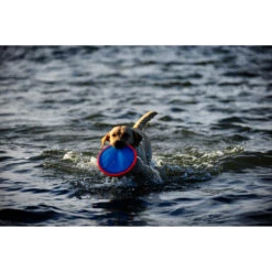 Chuckit! Chuckit Paraflight Large 7 Chuckit! Chuckit Paraflight Large -Lekker Woef 1033098 4