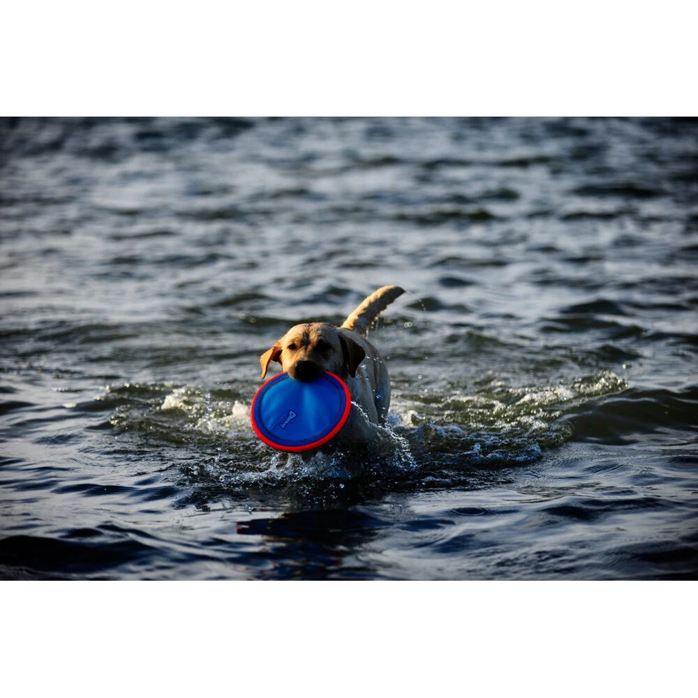 Chuckit! Chuckit Paraflight Large 4 Chuckit! Chuckit Paraflight Large - Afbeelding 4