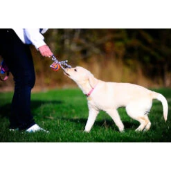 Chuckit! Chuckit Ultra Toss Medium 6 Chuckit! Chuckit Ultra Toss Medium -Lekker Woef 1033117 3