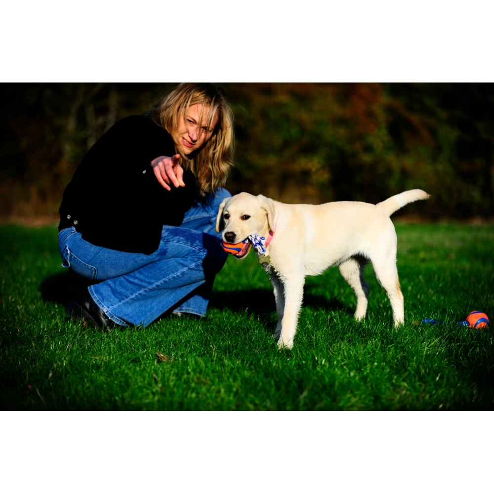 Chuckit! Chuckit Ultra Toss Medium 4 Chuckit! Chuckit Ultra Toss Medium - Afbeelding 4