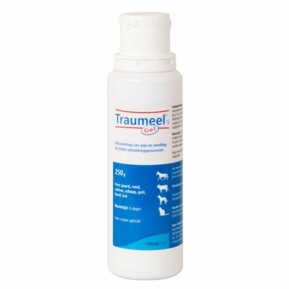 Heel Traumeel S Veterinair Gel 1 Heel Traumeel S Veterinair Gel