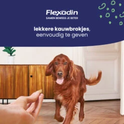 Flexadin Adult Dog Kauwbrokjes -Lekker Woef 1054025 4