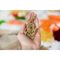 Kivo Zalm & Rijst Glutenvrij -Lekker Woef 1074799 3