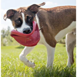 Kong Flyer Frisbee Rood -Lekker Woef 703705 3