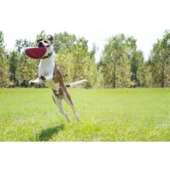 Kong Flyer Frisbee Rood -Lekker Woef 703705 4