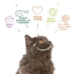 16x Yarrah Bio Kattenvoer Chunks Kip - Rund -Lekker Woef 704651 4