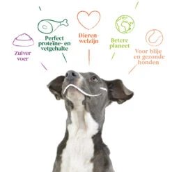 12x Yarrah Bio Hondenvoer Chunks Rund - Kip -Lekker Woef 704653 4