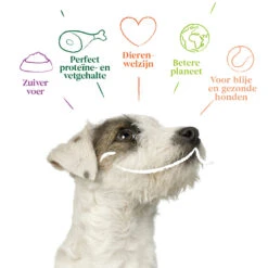 12x Yarrah Bio Hondenvoer Paté Rund - Kip -Lekker Woef 704655 4