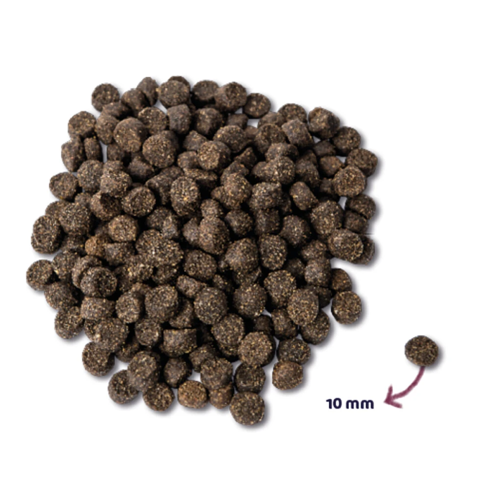 Renske Mighty Omega Plus Krokant Hondenvoer Lam 2 Renske Mighty Omega Plus Krokant Hondenvoer Lam - Afbeelding 2