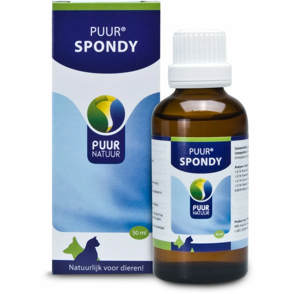 PUUR Spondy 1 PUUR Spondy
