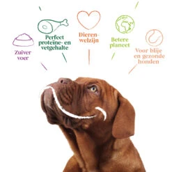 12x Yarrah Bio Hondenvoer Chunks Kip -Lekker Woef 979324 4