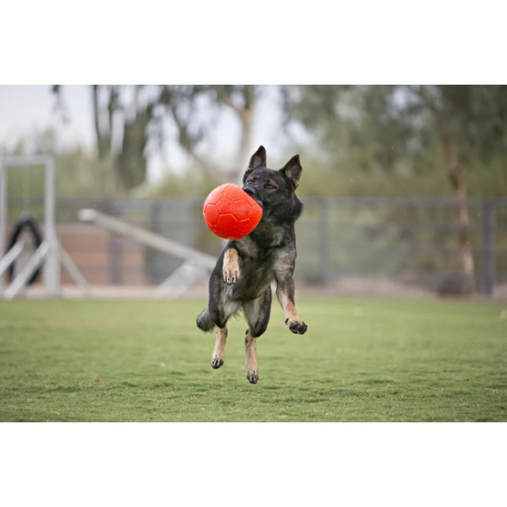 Jolly Pets Soccer Ball Oceaan Blauw ø 20 Cm 2 Jolly Pets Soccer Ball Oceaan Blauw ø 20 Cm - Afbeelding 2