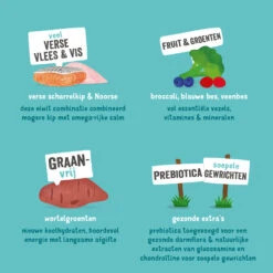 Edgard & Cooper Hondenvoer Senior Scharrelkip - Noorse Zalm 7 Edgard & Cooper Hondenvoer Senior Scharrelkip - Noorse Zalm -Lekker Woef 993009 4