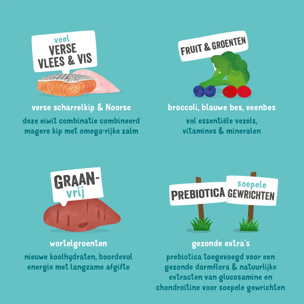 Edgard & Cooper Hondenvoer Senior Scharrelkip - Noorse Zalm 4 Edgard & Cooper Hondenvoer Senior Scharrelkip - Noorse Zalm - Afbeelding 4