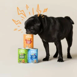 6x Edgard & Cooper Blik Vers Vlees Senior Hondenvoer Kip - Zalm -Lekker Woef 993029 3