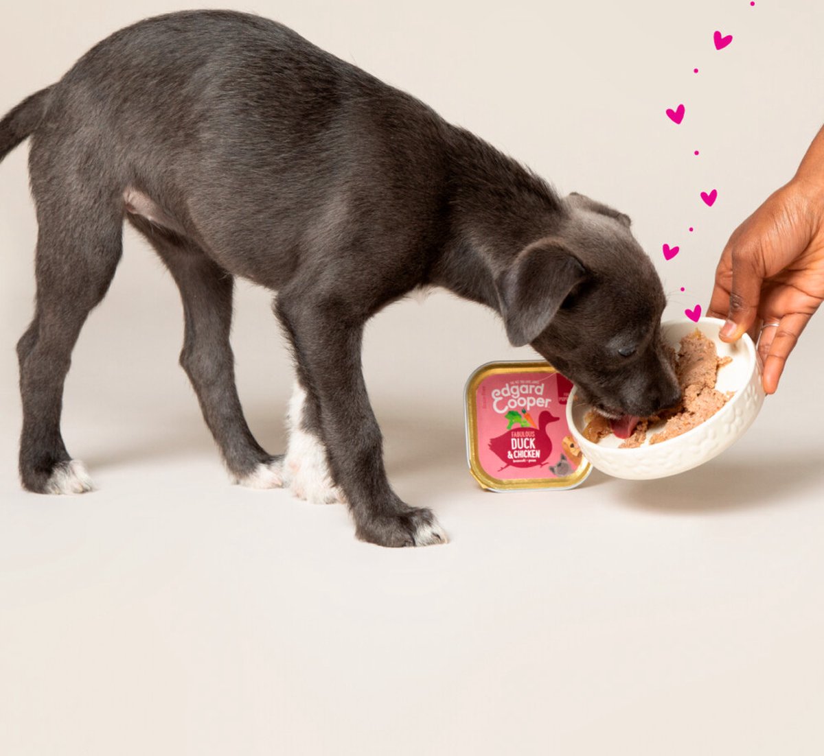 Lekker Woef 17 Lekker Woef -Lekker Woef