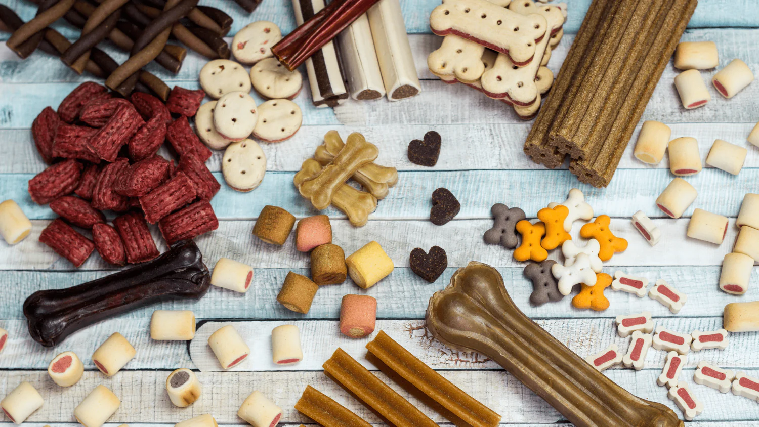 Lekker Woef 3 Lekker Woef -Lekker Woef The Environmental Impact of Pet Food min